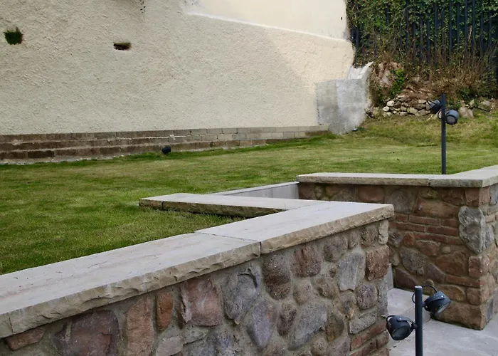 Suerlo